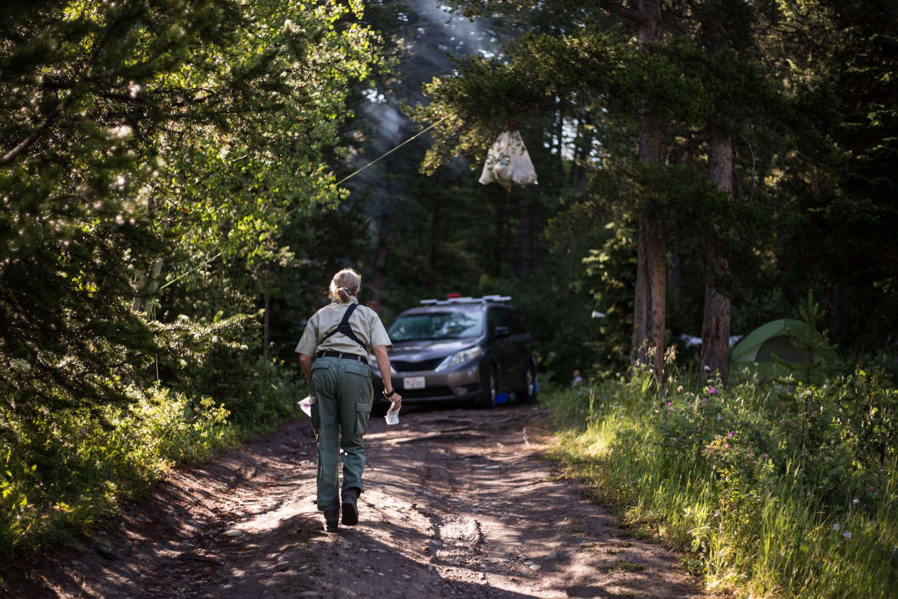Bridger-Teton National Forest camping patrol